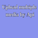 Upload multiple media by Api icon