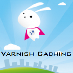 Varnish/Nginx Proxy Caching icon