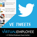VE Tweets icon