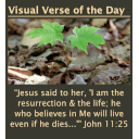 Visual Bible Verse of the Day Widget icon