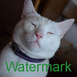 Watermark RELOADED icon