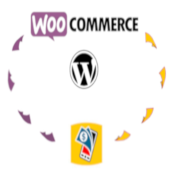 Payment Gateway for MTN MoMo on WooCommerce icon