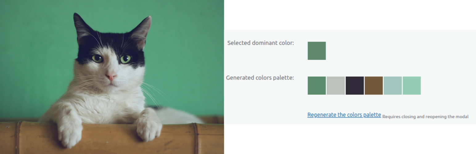 Plugin Banner