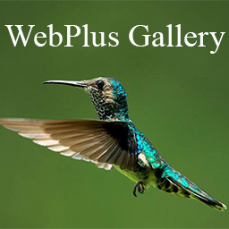 WebPlus Gallery on WordPress icon