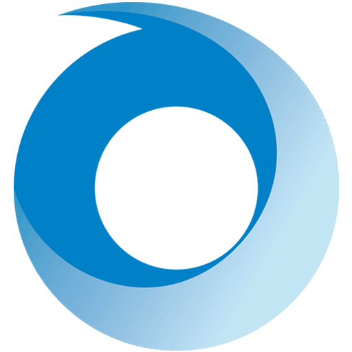 Website information Report icon