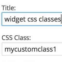 Widget CSS Classes icon