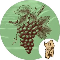Wine Cellar Manager – From collector to sommelier: wine always in order icon