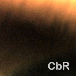 Coupons by Role icon