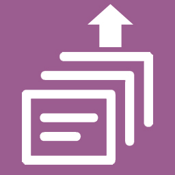 Bulk Upload Downloadable File icon
