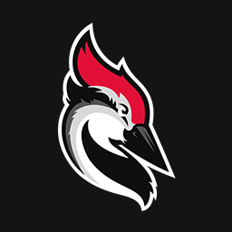 Woodpecker for WordPress icon
