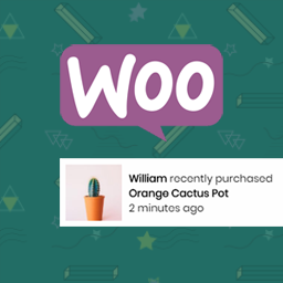 Live Sales Notification for Woocommerce – Woomotiv icon