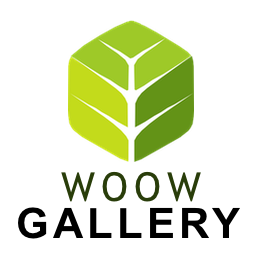 WoowGallery icon
