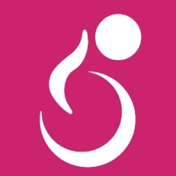 WP Accessibility Helper (WAH) icon