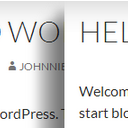 WP Author, Date and Meta Remover icon