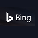 Bing Custom Search for WordPress icon