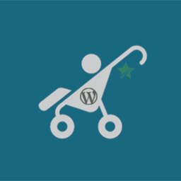 WP Child Theme Generator icon