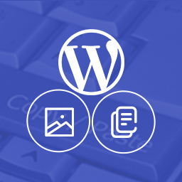 WP Copy Media URL icon