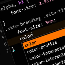 WP CSS Version History icon