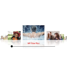 WP Flow Plus icon