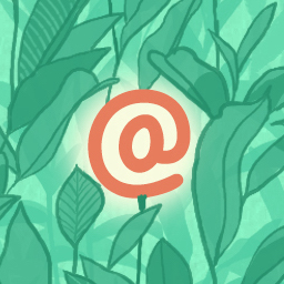 WP Mail Logging icon