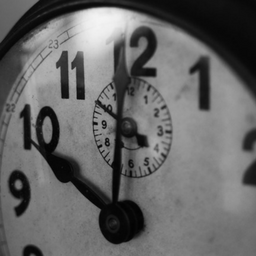 WP Missed Schedule Posts icon
