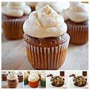 WP News Photo Gallery icon