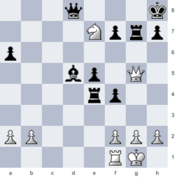 WP Shredderchess icon