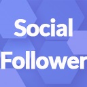 WP Social Follower icon