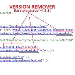 WP Version Remover icon