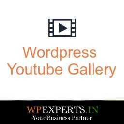 WP Youtube Gallery icon
