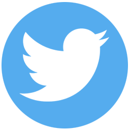 Twitter Follow Button icon