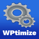 WPtimize icon
