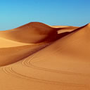 WPXP Clean Navigation Links icon