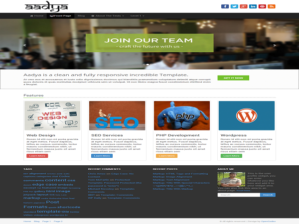 Aadya theme screenshot