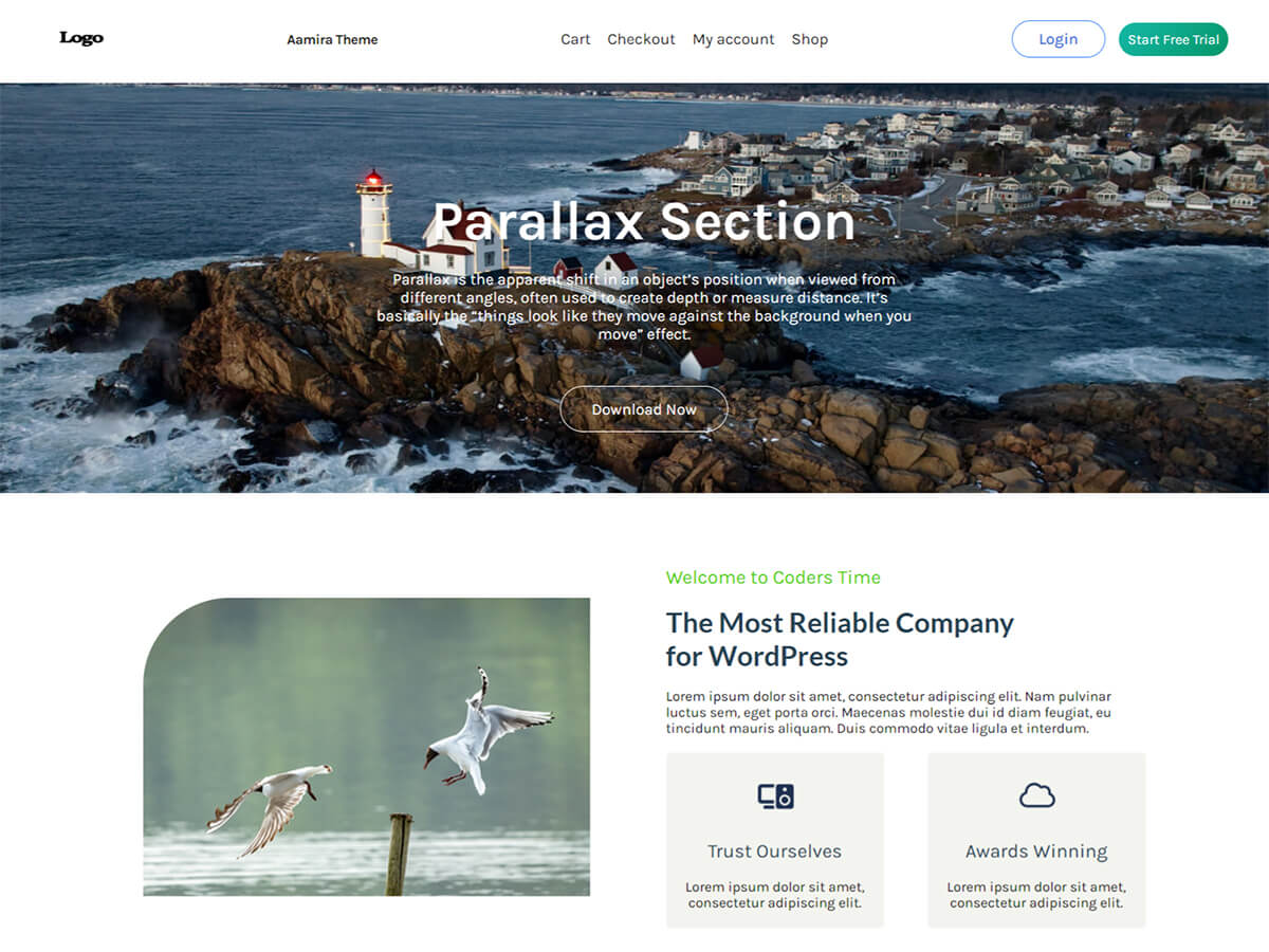 Aamira theme screenshot