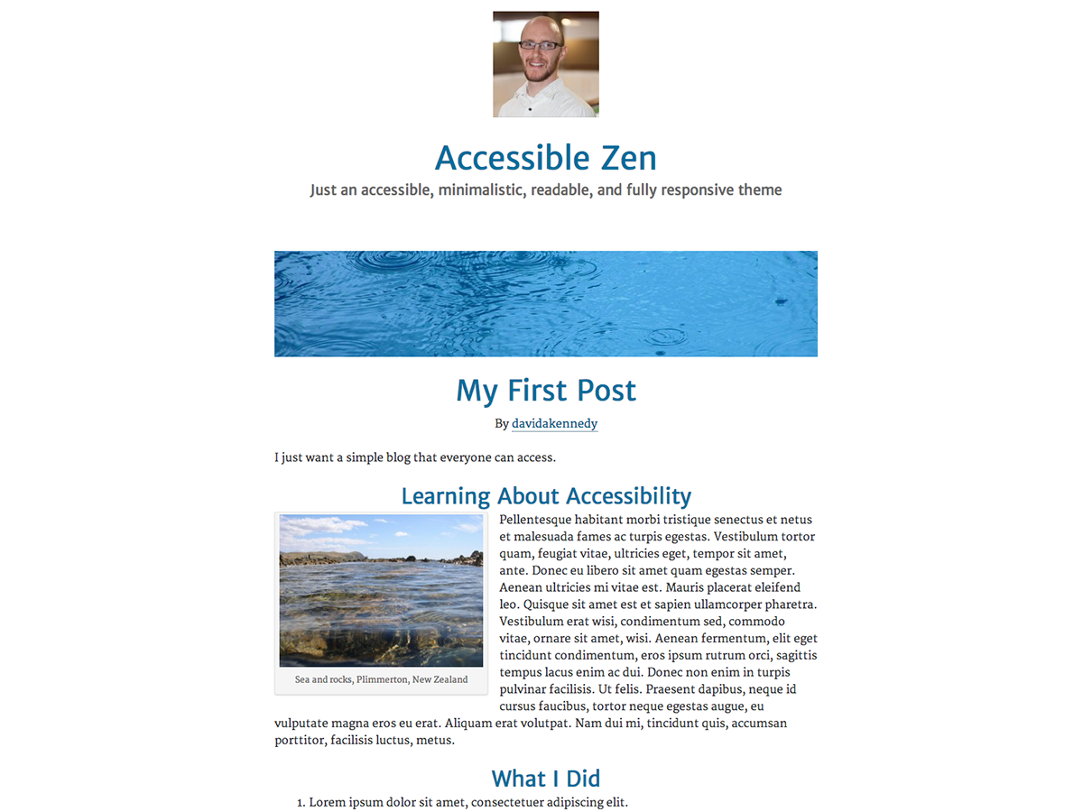 Accessible Zen theme screenshot