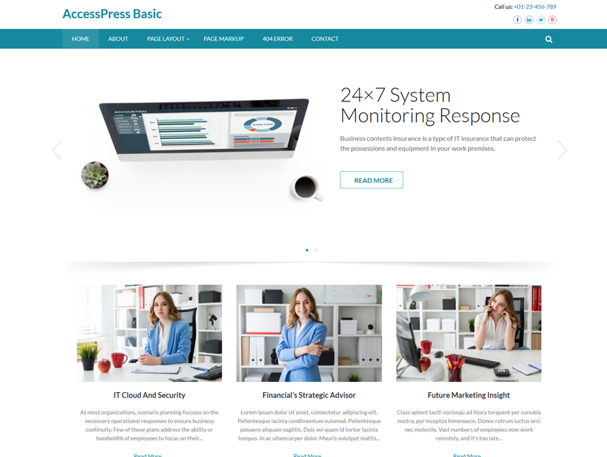 Accesspress Basic theme screenshot