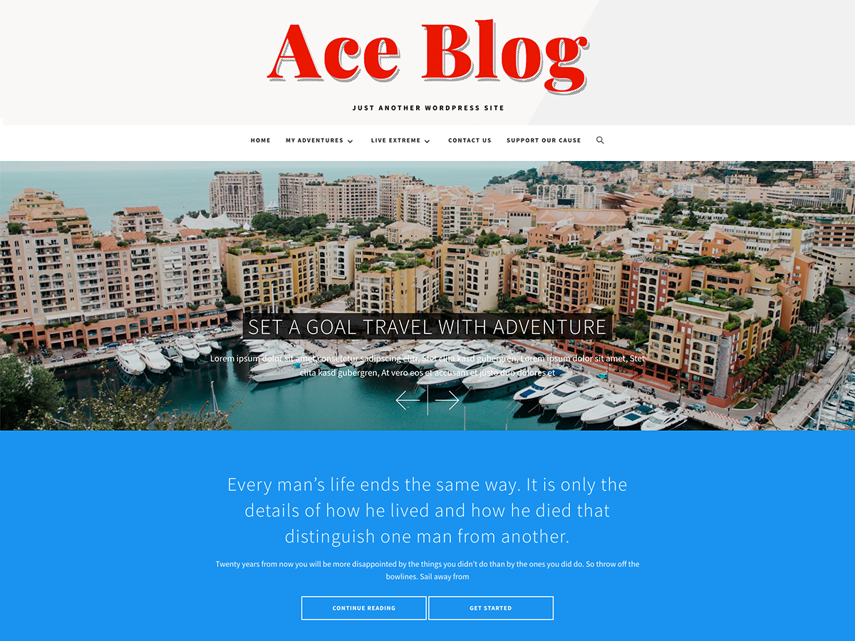 Ace Blog theme screenshot