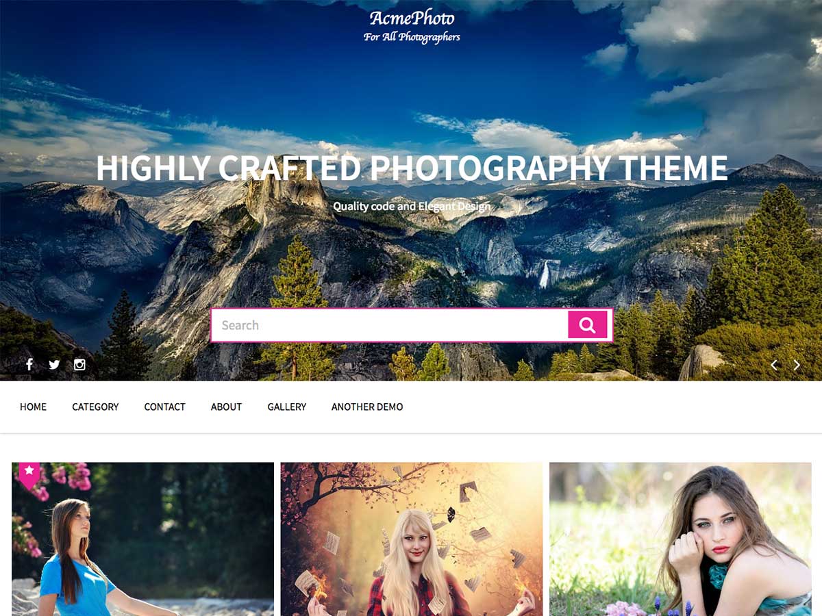 AcmePhoto theme screenshot