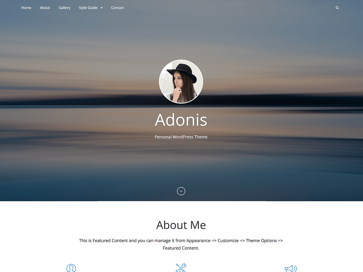 Adonis theme screenshot