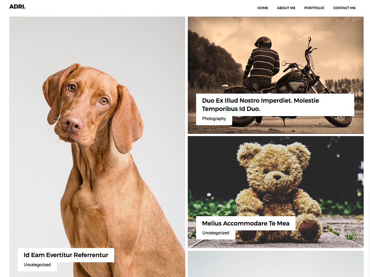 Adri theme screenshot