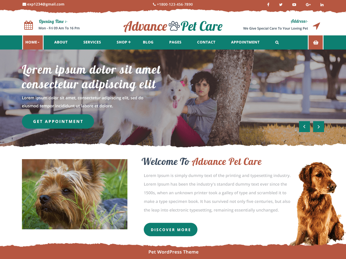 Advance Pet Care theme screenshot