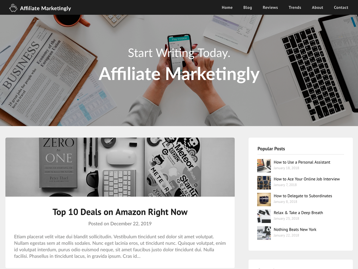 Affiliate Marketingly theme screenshot