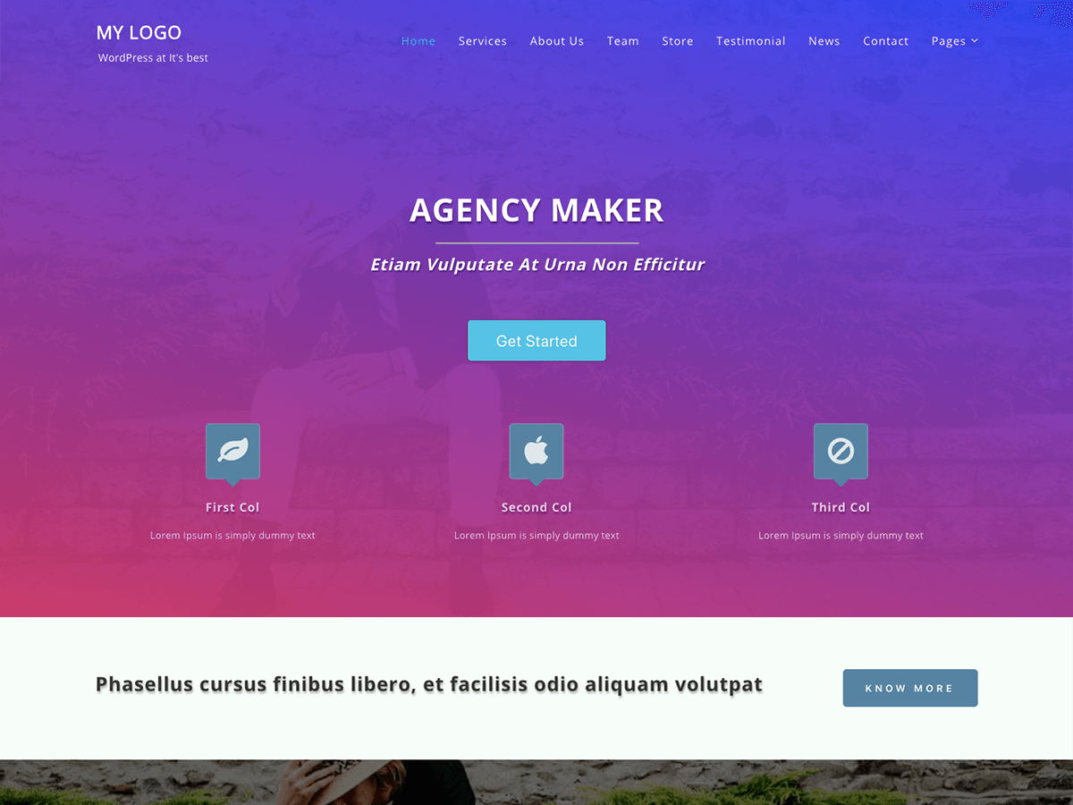 Agency Maker theme screenshot