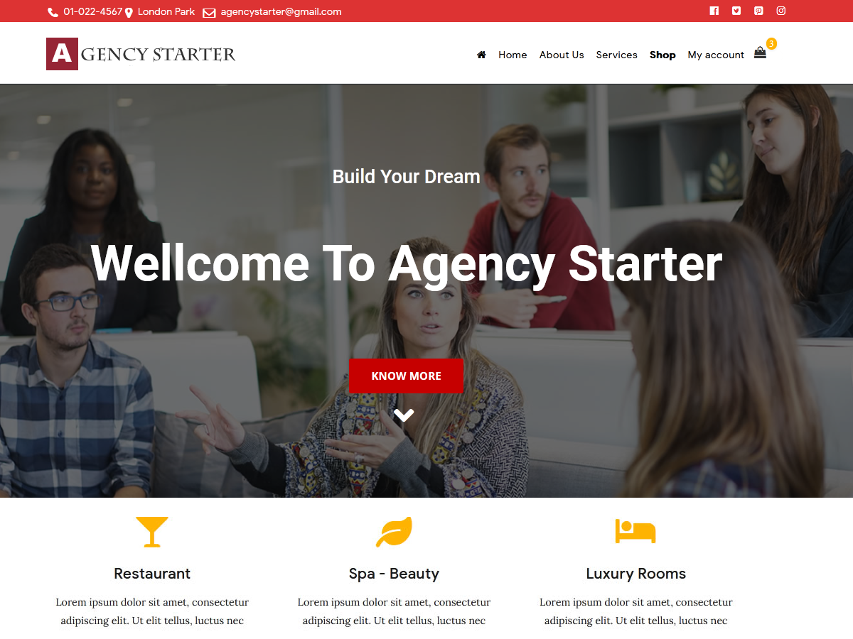 Agency Starter theme screenshot