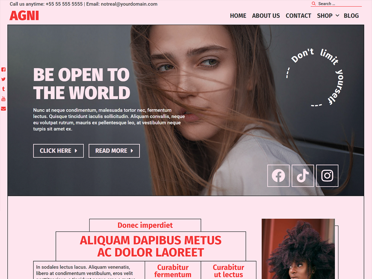 Agni theme screenshot