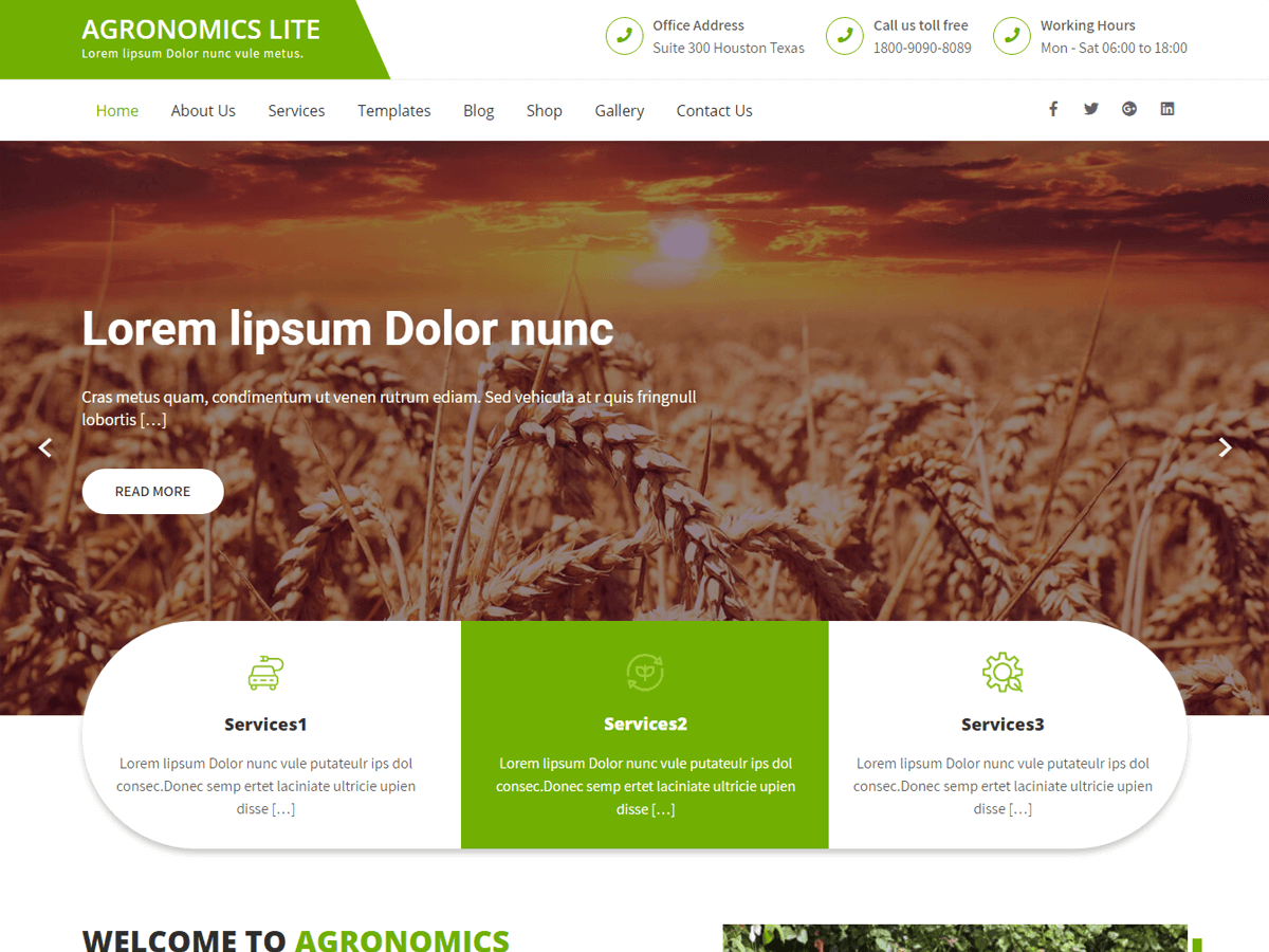 Agronomics Lite theme screenshot