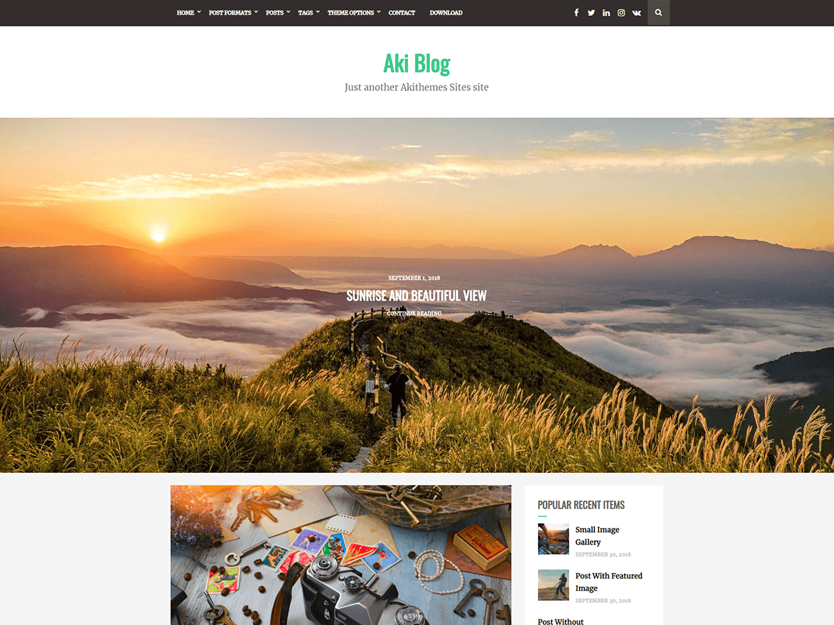 Aki Blog theme screenshot
