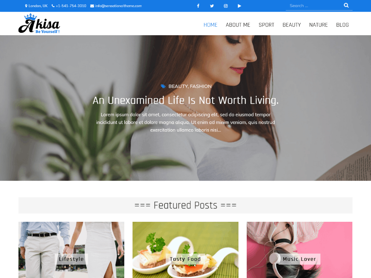 Akisa theme screenshot