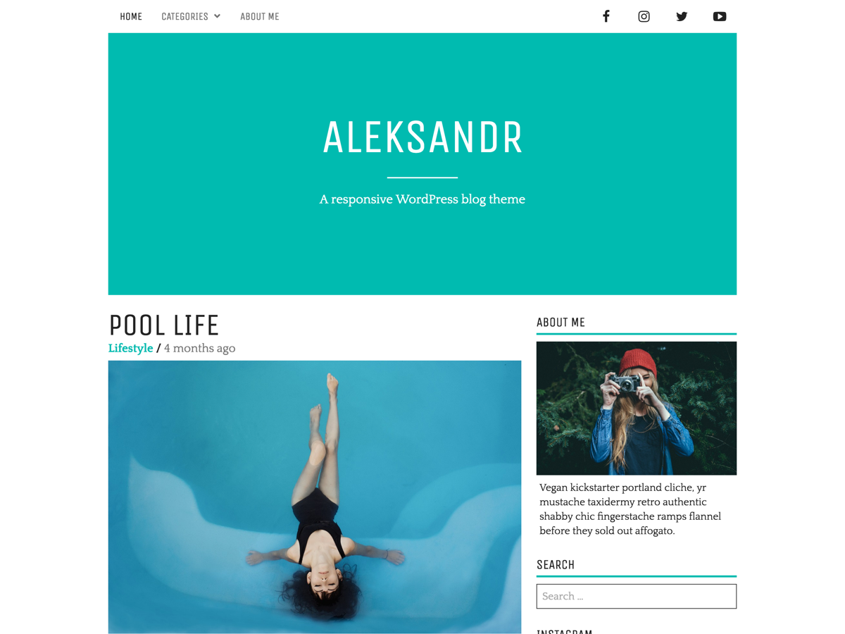 Aleksandr theme screenshot